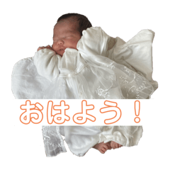 Oracchi_20250120074701