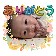 natsu_20250120140755