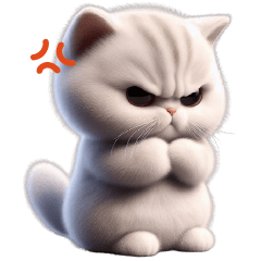 MeawMeaw Very cute cat TW