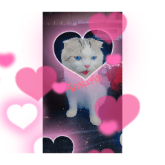 OumBun_20250120152305