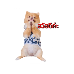 Tim_20250120171331