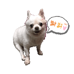 San蒂