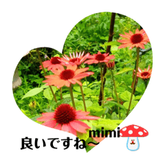 mimi_20250120153531