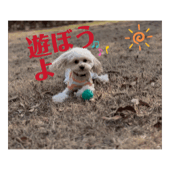 gon_20250120153825