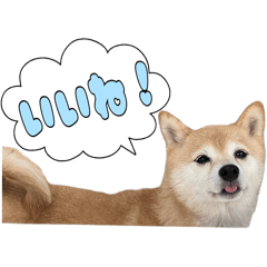 Coco_20250120174515