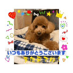 hana_20250120192413