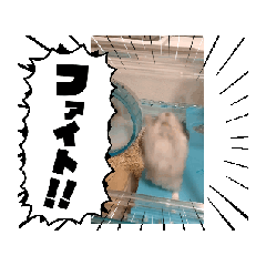 akiko_20250120200758
