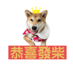 哈特利的日常生活2