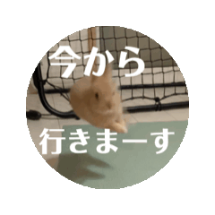 erika_20250120204225