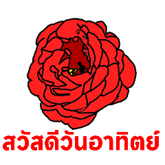 pi_20250120193913