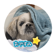 MAKI_20250120191847