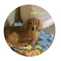 natsuki_20250120192859