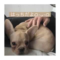 moe_20250120175349