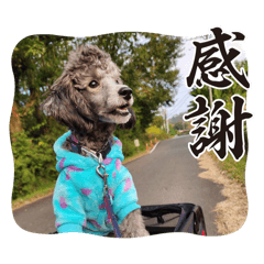 nao_20250120234452