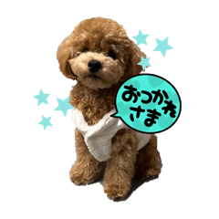 yuka_20250120195336