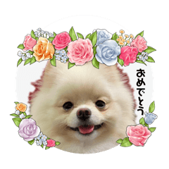 omochi_20250121023832