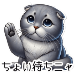 Misty the Scottish Fold Cat Stickers