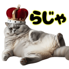 A fat cat king's are filled with manju