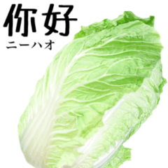 Chinese cabbage 13