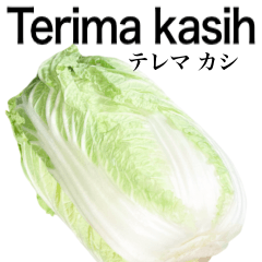 Chinese cabbage 16