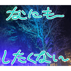 yuki_20250120113224