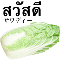 Chinese cabbage 6