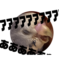 gatsu_20250120224330