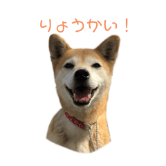 ai_20250121000616