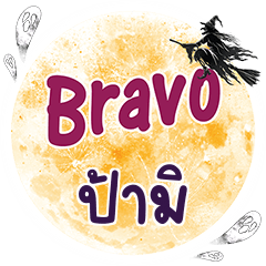 PAMI2 Bravo One word