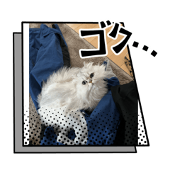 Akira_20250119135758