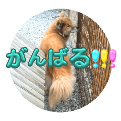 natsuko_20250121122732
