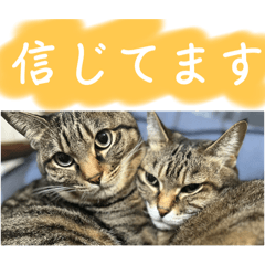 if_20250121123659