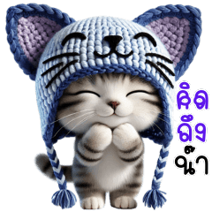แมวน่ารัก อเมริกันชอร์ตแฮร์