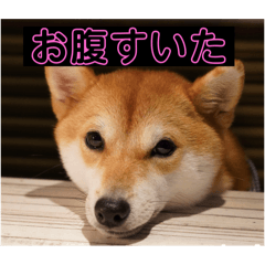 j_20250120203645