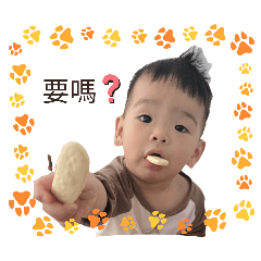 我的兔寶兒子日常
