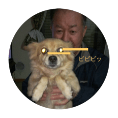 tonton_20250121183211
