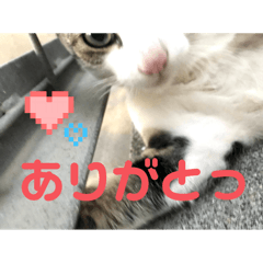 nagi_line.stamp