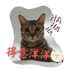 日常貼圖～～～～