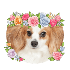 yuzuko_20250121184632