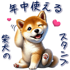 Today's Shiba Inu Sticker