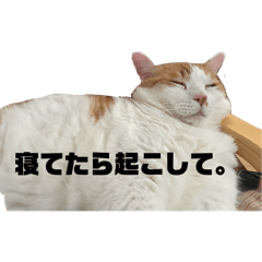 ki_20250121161044