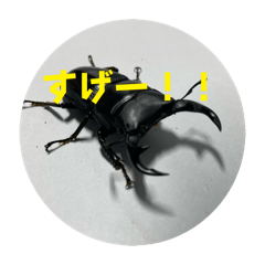 SHUN_20250121195420