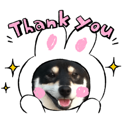 coco_20250121211144