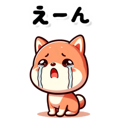 Everyday Shiba Inu 3