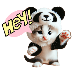 Panda costume kitten