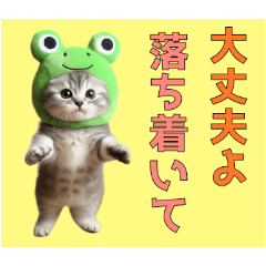 Frog costume kitten2