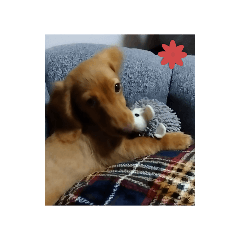 choco_0205