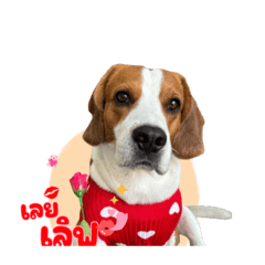 Nong_20250121221145