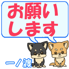 Ichinowatari's letters Chihuahua2 (2)