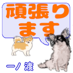 Ichinowatari's letters Chihuahua (2)